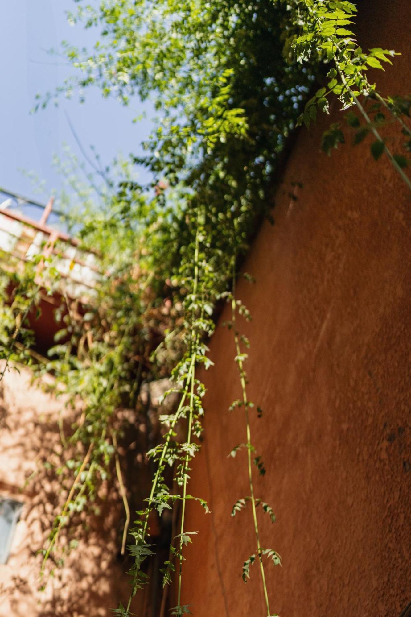 Riad Senja Marrakesh Buitenkant foto
